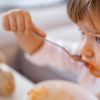 Young child eating his meal whilst enjoying the company of his family