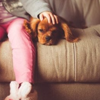 A young child stroking a pet dog on a comfy sofa